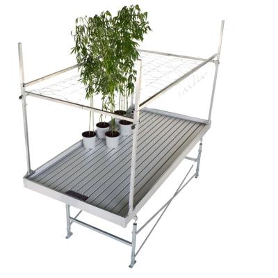 China Nursery Agricultural Equipment Plant Greenhouse Seedling Wuxi Zewo Moving Rolling Bench Table for sale