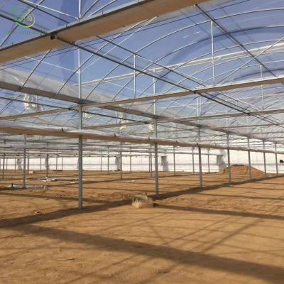 China Wholesale High Quality UV Stabilized PE Weed Agricultural Plant Garden Plastic Greenhouse Mulch Resistant White Transparent Greenhouse UV Stabilized Protective Film for sale