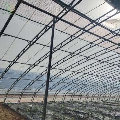 China Plastic Film Agricultural Greenhouse With Hydroponic Growing System for sale