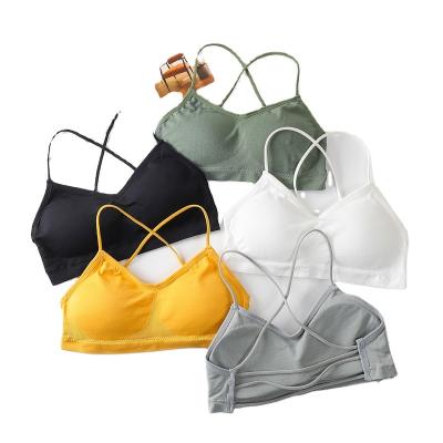 China Professional Manufacturing QUICK DRY Beauty High Elastic Straps Breathable Back Bra For Women for sale