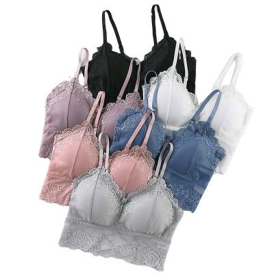 China Fashion Multicolor Lace QUICK DRY No Ring Steel Strap Breathable Adjustable Beauty Back Bra for sale