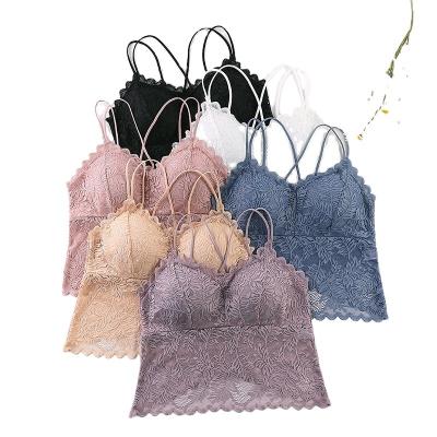 China 2022 QUICK DRY New Design No Ring Steel Underwear Lace Embroidery Sexy Bra Thin Section Push Up for sale