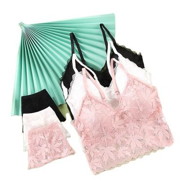 China New design QUICK DRY hot sexy lace full cup bra and panty set wrapped lace underwear set for sale