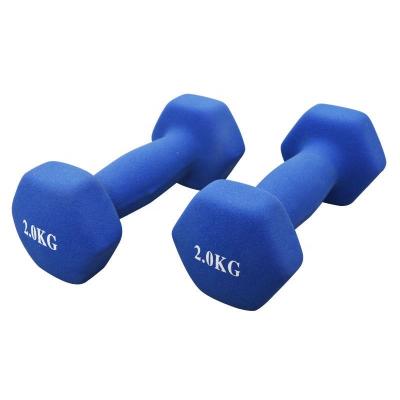 China Plastic Dip In Dumbbell 1-10kg Plastic Dip In Dumbbell For Women GYM Hex Dumbbell Multiple Free Weight Dumbbell Set for sale