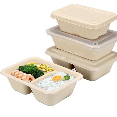 China 1000ML Disposable Biodegradable Bamboo Pulp Rectangle Take Away Paper Lunch Boxes Disposable Lunch Boxes for sale