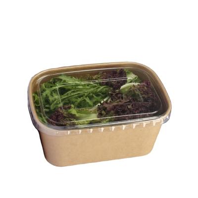 China 1000ML Rectangulai Disposable Lunch Box Leak Proof Disposable Bowl Disposable Bowl for sale