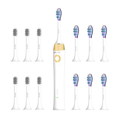 China Dupont Nylon Stiffens Logo Customization Professional High Quality Small Batch Customization IPX 7 Sonic Electric Toothbrush for sale