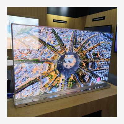 China Indoor 55 Inch OLED Digital Signage Display Advertising Screen indoorTransparent for sale