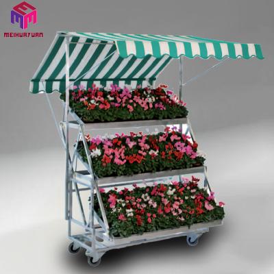 China Heavy Duty Galvanized Storage Greenhouse Rolling Nursery Transport Plant Flower Cart DC Flower Cart for sale