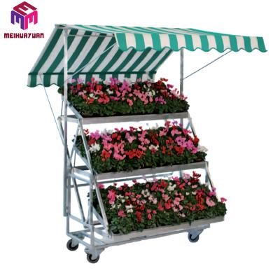 China Horticultural Transport Metal Greenhouse Nursery Greenhouse Storage Garden Farm CC Flower Plant Danish Dutch Cart for sale