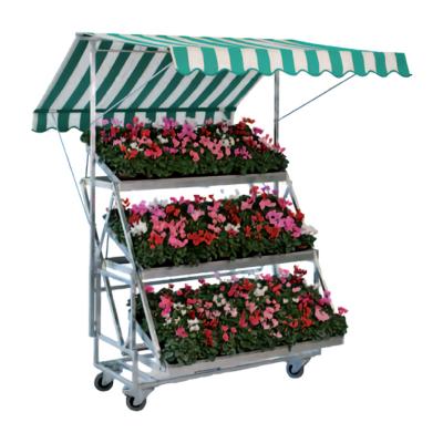 China Hot Selling Storage Nursery And Display Cart With Metal Flower And Candy Cart for sale