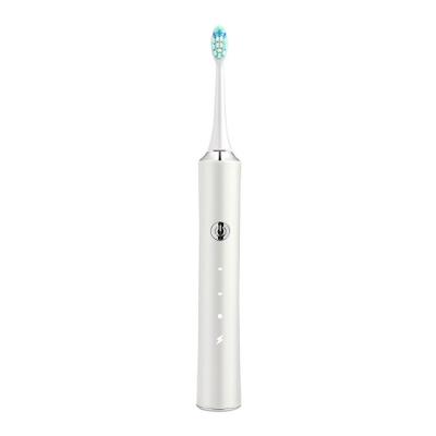 China Customized Wholesale High Quality Brand Rechargeable Electric Toothbrush Household for sale