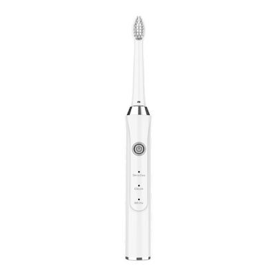 China High Quality Manufacturer OEM Electric Toothbrush Battery Operated Electric Toothbrush for sale