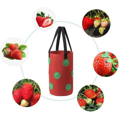 China Plant Growing Breathable Nonwoven Fabric Strawberry Planter Hanging Growing Bag with 13 Holes for Garden Plants Herbs Flowers for sale