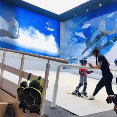 China Play CHINA FACTORY indoor amusement park rides, attraction for parkAmusement ski simulator& for sale