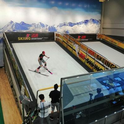 China CHINA Amusement Park Products Indoor Amusement Park Ski, Ride& Fitness Equipment for sale