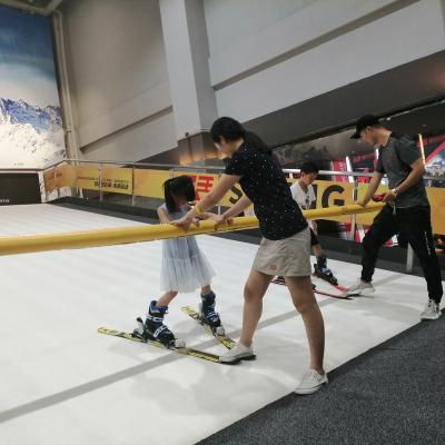 China Paly Indoor Factory Ski Simulator China Indoor Grass Ski Slope, Indoor Artificial Ski Surface& for sale