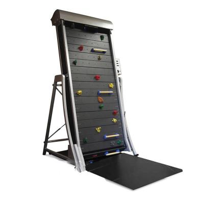 China Hot Sale China OEM Gym Fitness Indoor Rock Climbing Wall 1582*1450*2885mm for sale