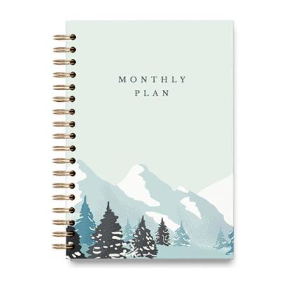 China Spiral tie/new products factory sale daily planner monthly planner notebook daily monthly planner notebook for sale