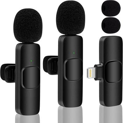 China Professional Gaming Mic Wireless Lavalier Lapel Hot Clip Computer Protable Microphone Studio Game for Iphone/Type-C PC Microphone for sale