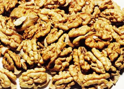 China Northern China Walnut Kernel halves for sale