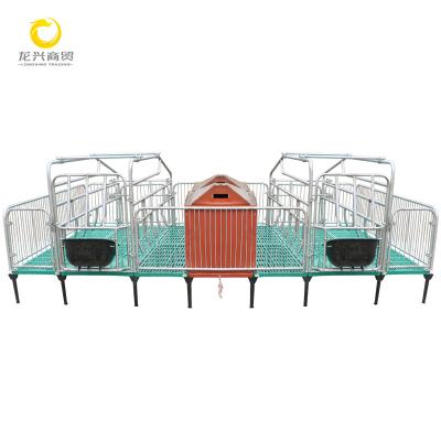 China Easy Install Easy Install New Animal Farm Equipment Farrow Crates For Pigs for sale