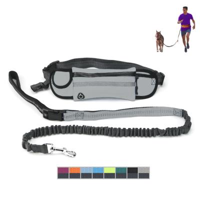 China Dropshipping Padded Hands Posture Belt Free Service Reflective Outdoor Dog Running Leash Lead for sale