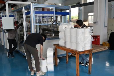 China Horizontal 25bags/Min 48rolls Kitchen Towel Machine for sale