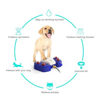 China Durable High Quality Summer Water Feeder Toy Sprinkler Bath Foot Automatic Outdoor Water Dispenser For Dog And Cat for sale