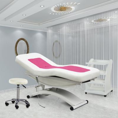 China French Cheap Luxury Beauty Lash Facial Bed Massage Body Therapy Spa Treatment Salon Cosmetic 3 Electric Motor Extension Rose Table for sale