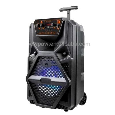 China No Cart KTS-1073 Latest Modern Custom Style Wireless Speaker Real Radio for sale