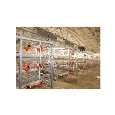 China Farms Hot Selling Cheap Price Fully Automated Poultry Farming Equipment New Design Galvanized Steel Chicken Cage For Farm for sale