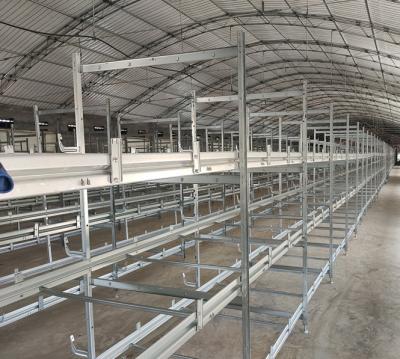 China Safe Place Long Working Time Using H Type Automatic Layer Poultry Cages 4 Doors Tires 5 Doors Chicken Cage Battery Layer Chicken Cage for sale