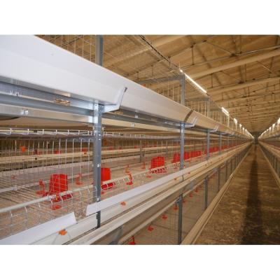 China Backup Place Work Price Best A H Type Automatic Chicken Layer Cage Chicken Breeding Cage Chicken Broiler Cages for sale