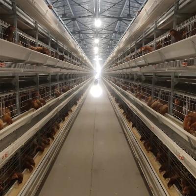 China fully automatic backup place chicken cages work laying machines/battery cages/automatic poultry farm equipment for sale