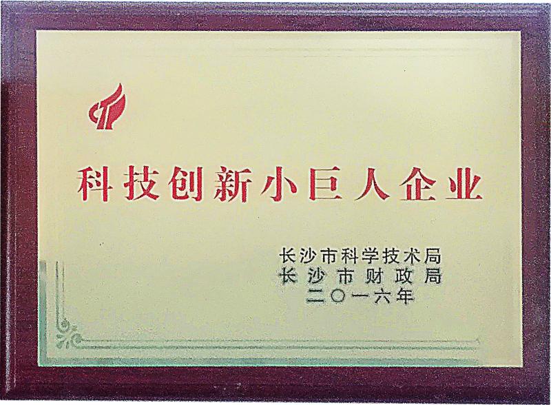 Small Giant Enterprise of Scientific and Technological Innovation - China Changsha Fine-Tech Ceramic Co., Ltd.