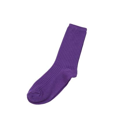 China Viable Purple Socks HC-SCWN018 For Mens Purple Socks Mens Purple Socks for sale