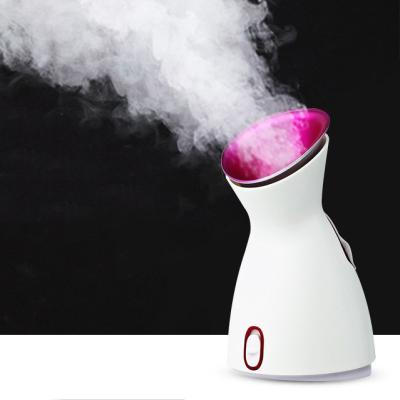 China Hot Moisturizer Household Popular Facial Hydrate Compress Flower and Fruit Mist Humidifier Facial Steamer for sale