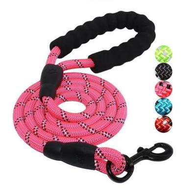 China Durable Strong Nylon Rope Soft Padded Handle For Dogs Thoughtful Lightweight Dog Leash for sale