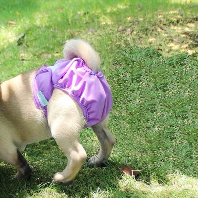 China Stocked Cloth Dog Diapers Pet Suppliers Durable Doggie Diapers,Premium Female Dog Diapers for sale