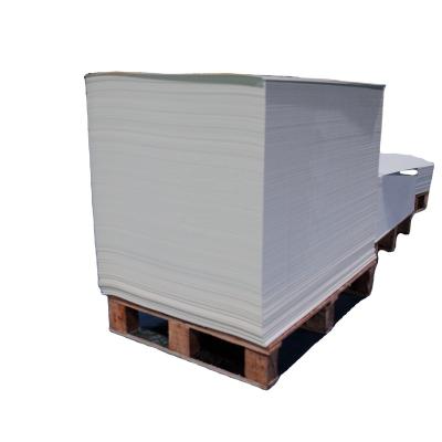 China Waterproof Virgin Wood Pulp Single or Double PE Coated Paper Cup Paper Sheet for Paper Cup Factory for sale