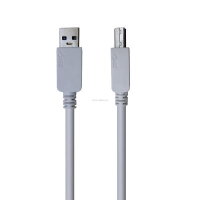 China High Premium Hotels Usb 3.0 A Male To Usb B Printer Cable Usb 3.0 PrinPrinter Cable Product for sale