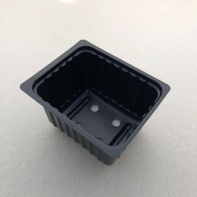 China Plastic Growing Plant Seeding Growing Tray Plant Tray Microgreen Plant Tray for sale