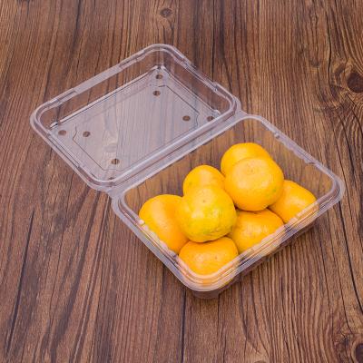 China Disposable Plastic Clamshell Container For Fruit for sale