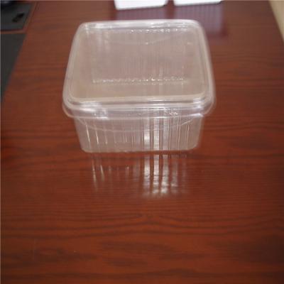 China Disposable Fruit Tasteless PET Blister Plastic Clamshell Container for sale