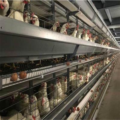 China Fully Automatic Layer Battery H Type Commercial Chicken Farm Supply Layer Hen / Eggs Chicken Cages System for sale