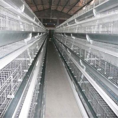 China Automatic Chicken Egg Layer Chicken Farm Laying Hens Poultry Battery Cages Commercial Goods Farm Prices For Sale for sale