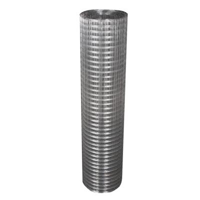 China Plain Weave Stainless Steel Birdcage Wire Mesh 20 Years Factory Wholesale Price for sale