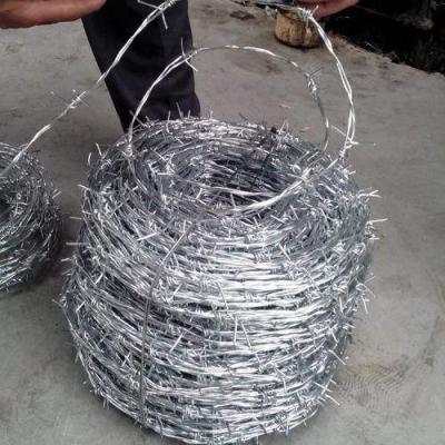 China Hot dipped galvanized protection barbed wire, 200m length per roll for sale