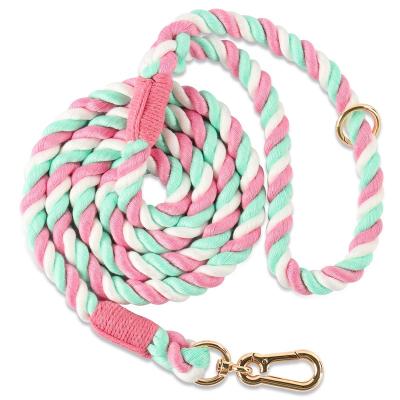 China Thoughtful Comfortable Padded Handle Rope Dog Leash For Medium Large Dogs With Collapsible Pet Bowl And Waste Bags Dog Leash for sale